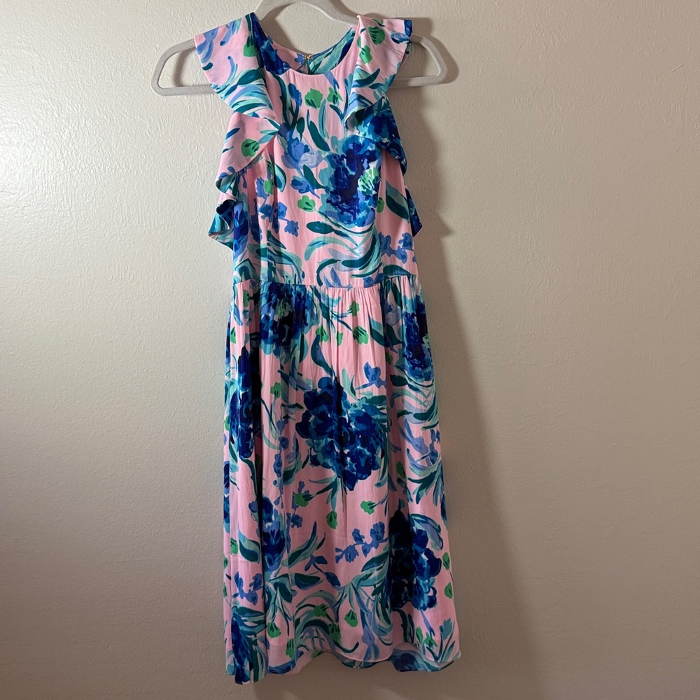 Lilly Pulitzer Rory Dress - Picture 10 of 12